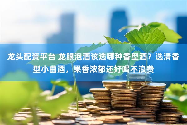 龙头配资平台 龙眼泡酒该选哪种香型酒？选清香型小曲酒，果香浓郁还好喝不浪费